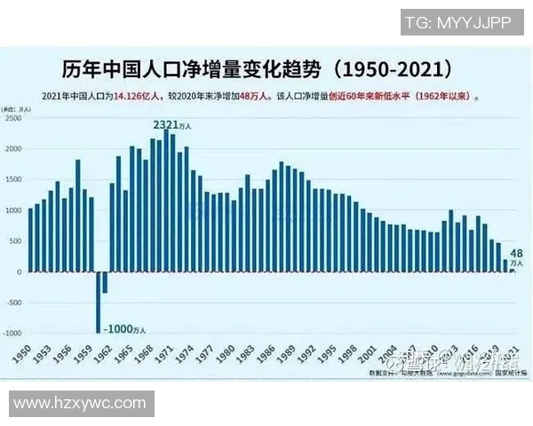 深入探讨北京排球队的力量表现与数据分析成果